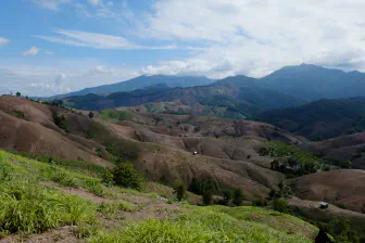 BNG de minimis exemption being misused to avoid compensation obligations worth £106m/year