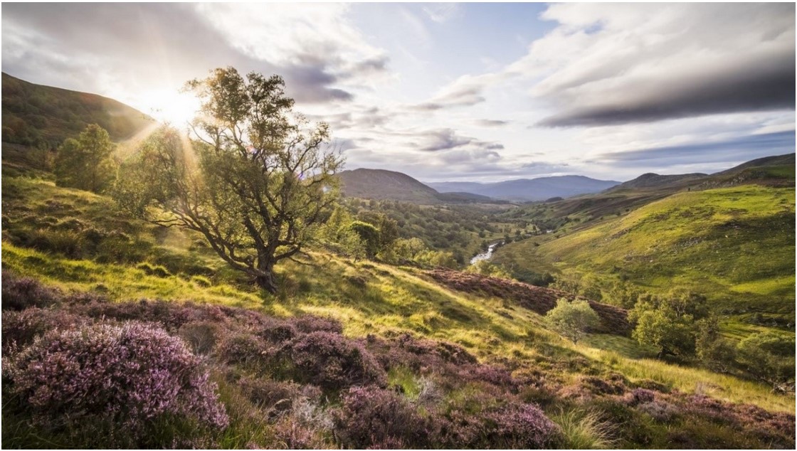 A view of the Natural Capital Laboratory with mountains in the background